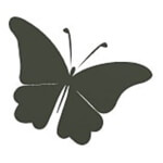 Anshul Creations Logo