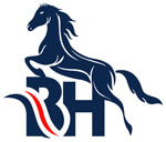 BLUE HORSE Logo