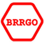 brrgo metallices india pvt ltd Logo