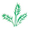 Sugandha Farms and Nursery Logo