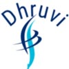 Dhruvi Solutions India Pvt Ltd Logo