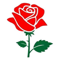 Rose Property Sumerpur