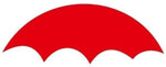 HAVMORE INSURANCE BROKERS PVT LTD Logo