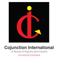 COJUNCTION INTERNATIONAL Logo