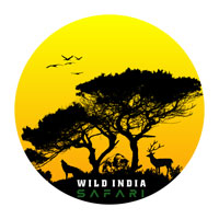 Wild India Safari
