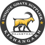 Unique Goats Supplier