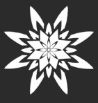 NEESAR SPICE EXIM Logo