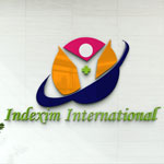 Indexim International Logo