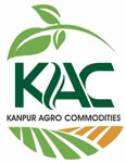 Kanpur Agro Commodities Logo