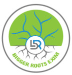 BIGGER ROOTS EXIM LLP