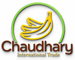 Chaudhary International Trade Logo