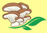 V2 Farm Logo