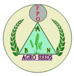 Ambedkar Nagar Agro Krishi Vikas Producer Company Logo