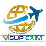 Visup Exim Logo