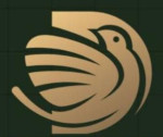 Drishti Logo