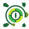 Turtle Eye Infotech Solutions Logo