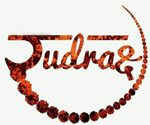 Rudraksha