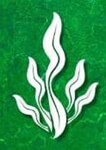 Bluegreenfarms Logo