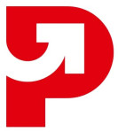 Pioneer Digitals- Digital Marketing Agency