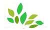 fabrics solutions Logo