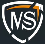 MS ENTERPRISES