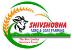 Shiv shobha agro and goat farmig