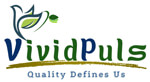 Vividpuls Solutions (OPC) Private Limited Logo