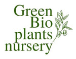 Green Bio plants nursery
