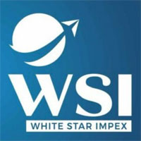 White Star Impex Logo