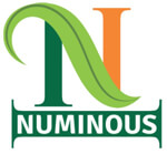 Numinous Products India Pvt. Ltd.