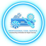 Professional Cool Service