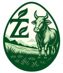 Zebu cow dung products