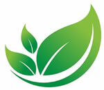 ARMMAG GLOBAL SERVICES PRIVATE LIMITED