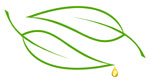 Pearl Overseas Logo