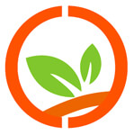 Orange Stall Fabrication and Designing