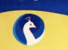 Ragav Packaging Logo