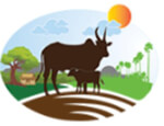 annammilk Logo