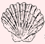 Spore haven mushroom farm