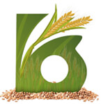 Basant Agro Food Industries