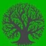 Eeshanvi India Enterprises