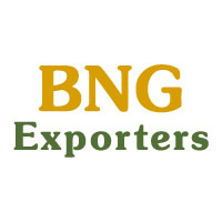 BNG Exporters Logo