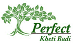 Perfect Khetibadi Associate