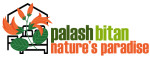 Palash Bitan