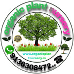 Organic Plant nursery