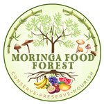 Moringa Food Forest