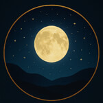 Chandranishi Organics