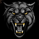 S.M pyrotech traders