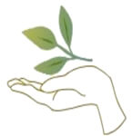 TRIDEV AYURVEDA Logo