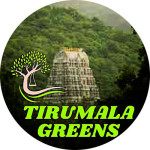 Tirumala greens