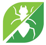 Emerald Pest Control Services and Solutions